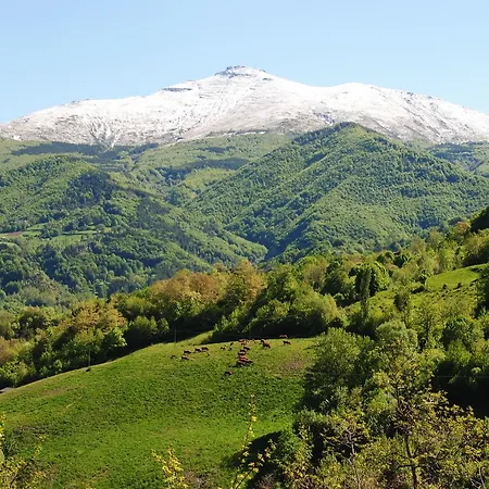 Hotel Val Di Luce *