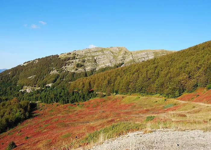 Val Di Luce 퓨말보