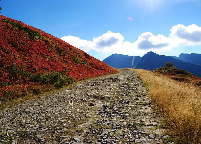 Val Di Luce 호텔 *