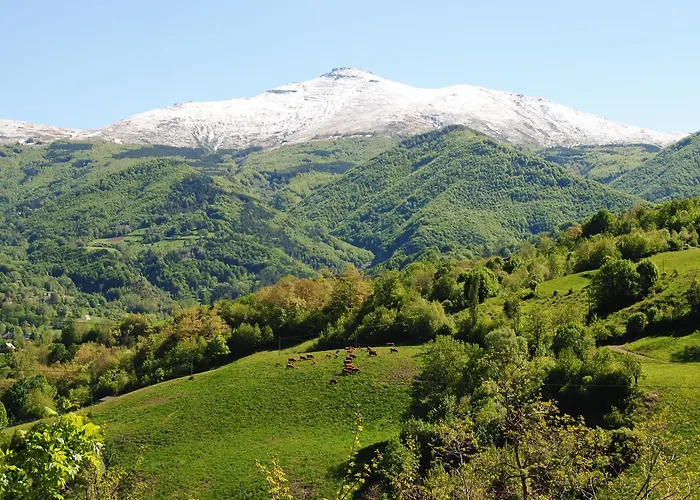 호텔 Val Di Luce *