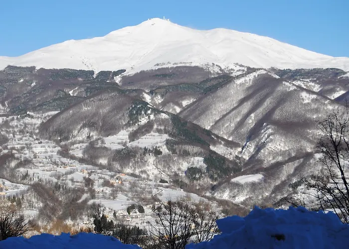 Val Di Luce 퓨말보